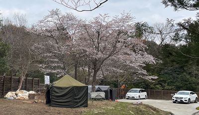 NAGONO WORK BAR & SAUNA AOU no MORI【NIWA 】の室内の写真