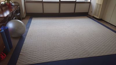 バランスボールサイズ違い　２つあります。 - 貸し会議室、レンタルスペース／リヴィング・ラボとくしま 運動サポート／運動室　徳島市　ヨガ　ピラティス　パーソナルのその他の写真