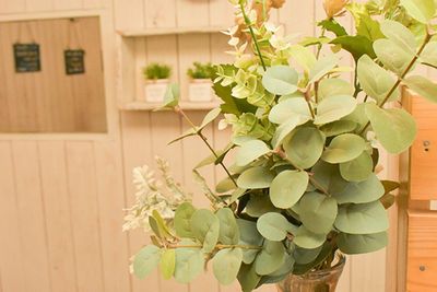 観葉植物も多く、落ち着いた雰囲気のサロンです。 - マッサーズ京橋店 レンタルサロン by Massersのその他の写真