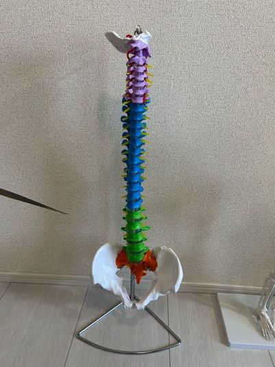 鎌倉駅徒歩5分｜プロ仕様ベッド完備の隠れ家整体サロンREBORN - 整体院REBORN -リボーン-