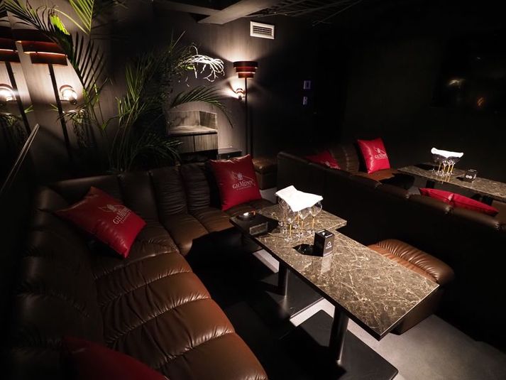 CLUB PLUM  - CLUB PLUM