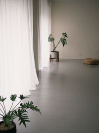 studioNARUU の室内の写真