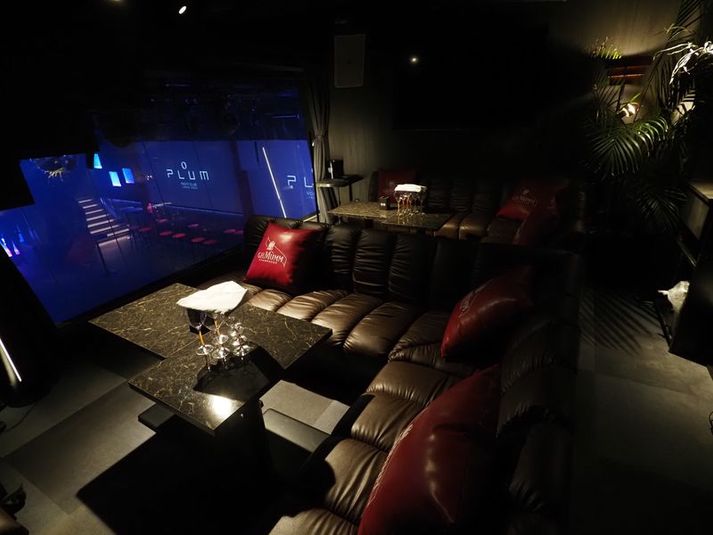 CLUB PLUM  - CLUB PLUM