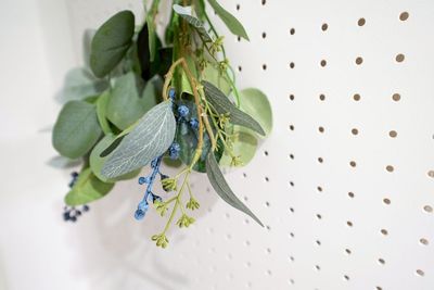 グリーンがアクセント - シャイジール千種 シャイジール池下の入口の写真