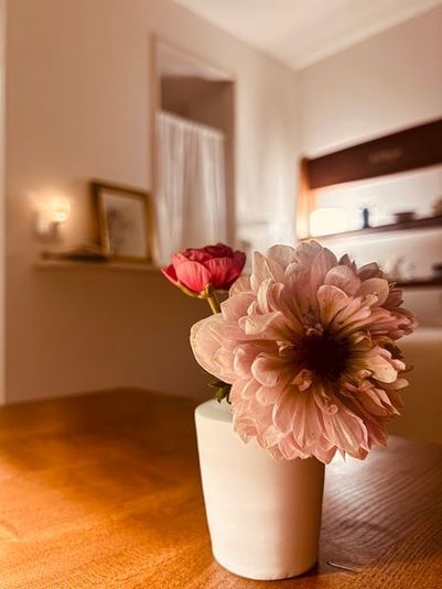 Salon aroma:re（サロン アロマリ） - Salon aroma:re（サロン アロマリ）