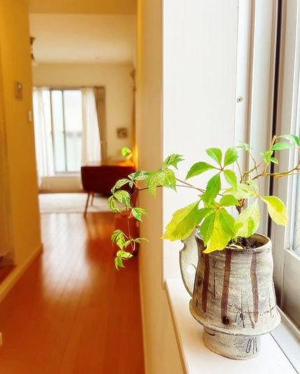 Salon aroma:re（サロン アロマリ） - Salon aroma:re（サロン アロマリ）