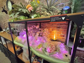 桜はもちろん、春の花々も楽しめます。 - ブリックス神田 【ブリックス神田】グリーン溢れるブルックリンスタイルのスペースの室内の写真