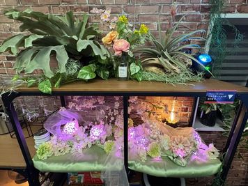 ブリックス神田 【ブリックス神田】グリーン溢れるブルックリンスタイルのスペースの室内の写真