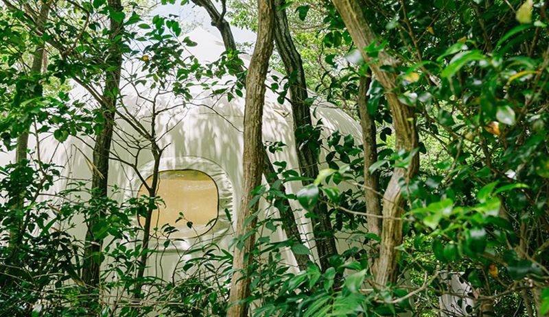 AOU no MORI【MORI 】 - AOU no MORI 