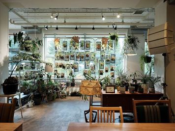 HOME/WORK VILLAGE GOOD TEMPO -MUSIC, BAR & PLANTS-の室内の写真