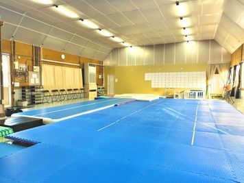 Acrobreak Dance Studio Acrobreak Dance Studio（体操場）の室内の写真