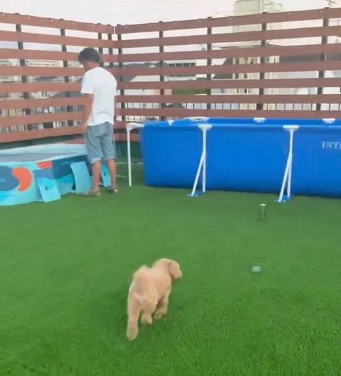 京都究極の屋上貸しスペース｜ BBQ｜ドックランあり🐶｜50名 - EARTH MATE