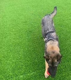 愛犬と楽しめるドックラン✨ - EARTH MATE 京都究極の屋上貸しスペース｜ BBQ｜ドックランあり🐶｜50名の室内の写真