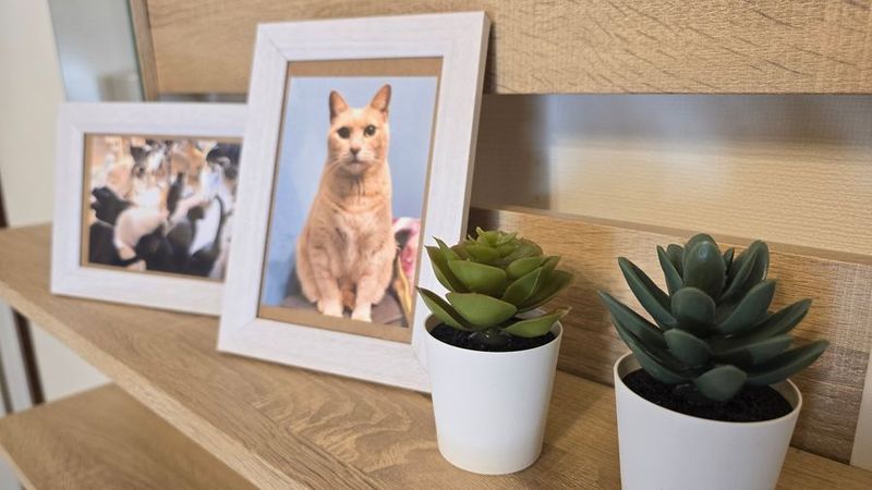 【元町駅スグ】ちいさなお部屋💕大きなときめき✨特別デートに🎉 - YUZ 元町