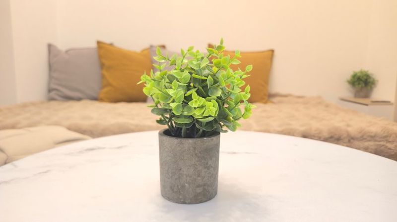 【元町駅スグ】ちいさなお部屋💕大きなときめき✨特別デートに🎉 - YUZ 元町