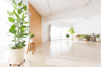 代々木駅徒歩3分！自然光の入る白壁撮影スタジオ/レンタルスペース/展示会/セミナー - スタジオセラート笹塚