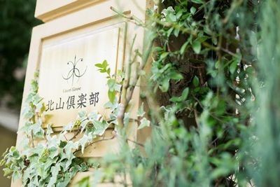 エントランス - Guest House 北山倶楽部 パーティールームの外観の写真