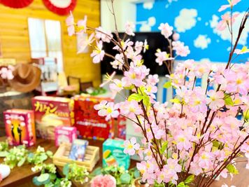🌸お花見撮影会やボードゲーム会も楽しめちゃいます🌸 - レンタルトプス新宿の室内の写真