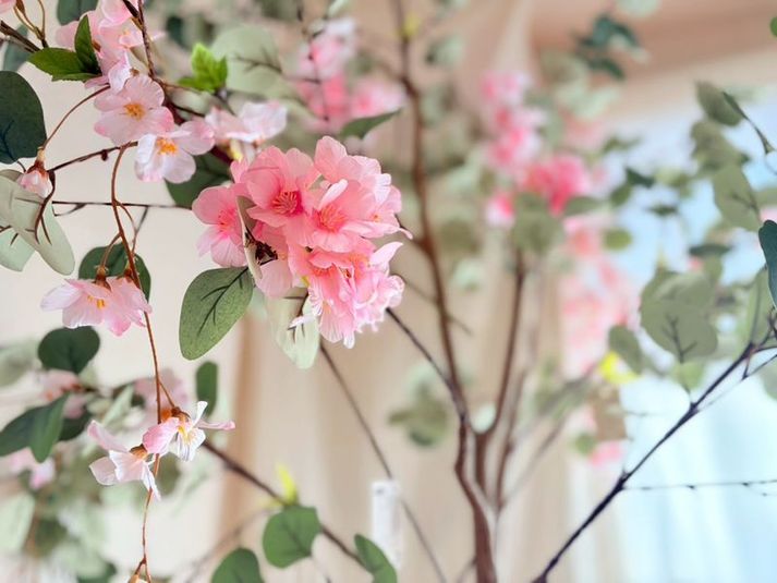 レンタルスペースｌNeverland新宿 - レンタルスペースｌNeverland新宿