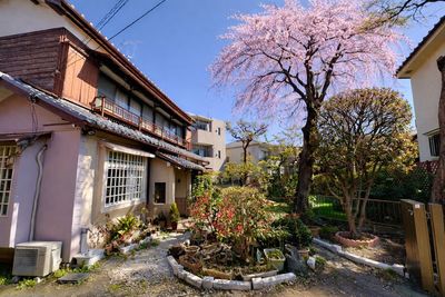 Makoto古民家ー若宮苑 Makoto古民家 若宮苑｜【春限定】庭に本物の桜が咲く一棟貸切の室内の写真