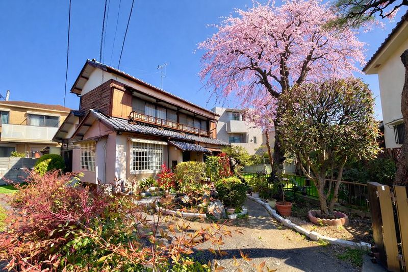 Makoto古民家 若宮苑｜【春限定】庭に本物の桜が咲く一棟貸切 - Makoto古民家ー若宮苑