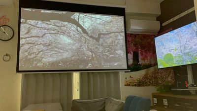 パークサイド天文館302【2号店】 シアタールーム　お気軽スペースAMAN　2号店の室内の写真