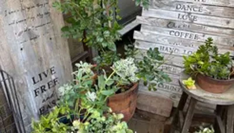 西東京市ひばりヶ丘【キッチン付き】レンタルスペース - レンタルスペース【大洋堂】