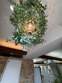 まるで隠れ家。緑と温かい光が織りなす、こだわりの入り口空間 - プロ仕様レンタルサロンBIKOTSUSEIDO PARIS 【OPENSALE】ゼニス電動昇降式ベッド完備プロ専用カイロ整体の入口の写真