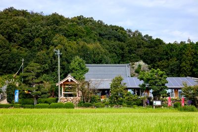裏山には岩山が。瑞巖寺の「巖」の由来です。 - 瑞巖寺檀信徒多目的会館「和晃庵」 本堂（主に会館が満室の時や特殊行事にて）の外観の写真