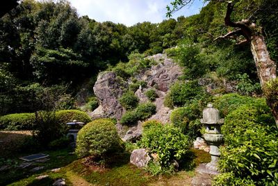裏山の岩崖は絶景です。 - 瑞巖寺檀信徒多目的会館「和晃庵」 テントサウナ（裏庭）の外観の写真