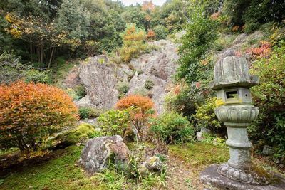 瑞巖寺の巖は裏庭の岩山から取った名称です。 - 瑞巖寺檀信徒多目的会館「和晃庵」 テントサウナ（裏庭）の室内の写真