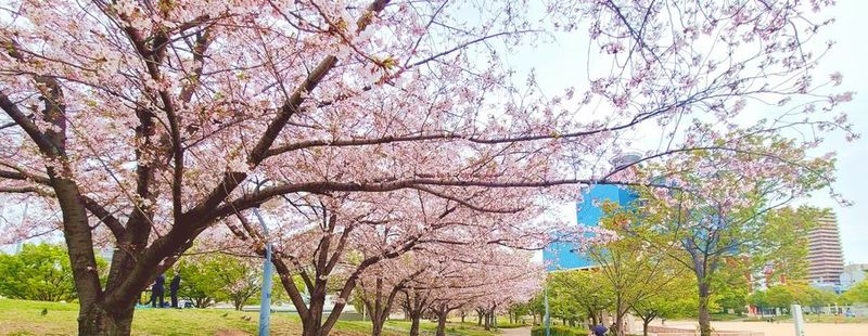 最大10名収容【ROUGH LABO TECH扇町】 - ROUGHLABO TECH扇町