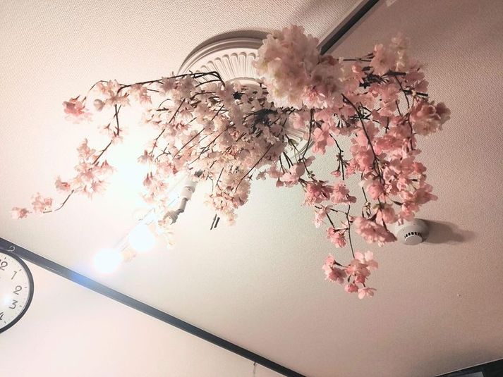 会議･飲み会･レンタルスペース - CASA代々木