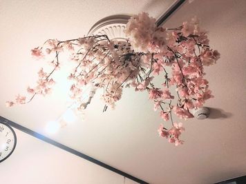 🌸インドア花見装飾中（～4月初旬） - CASA代々木 会議･飲み会･レンタルスペースの室内の写真