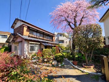 Makoto古民家ー若宮苑 Makoto古民家 若宮苑｜【春限定】庭に本物の桜が咲く一棟貸切の室内の写真