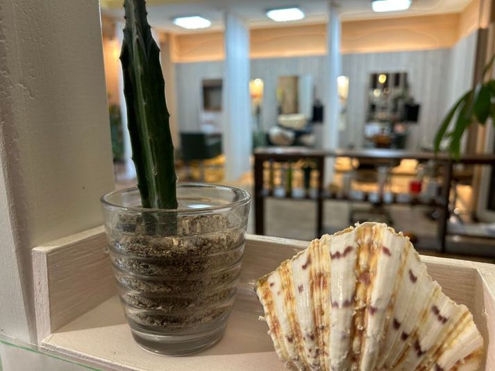 ALVIVE ネイル・マツエク・エステ・整体可 - ALVIVE