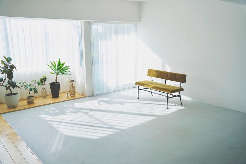 lauff SAGE - lauff SAGE