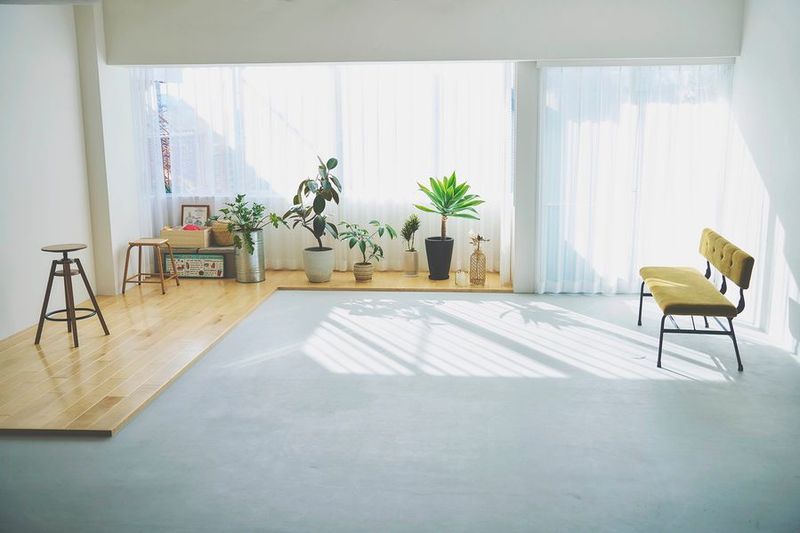 lauff SAGE - lauff SAGE