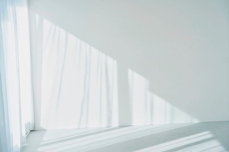 lauff SAGE - lauff SAGE