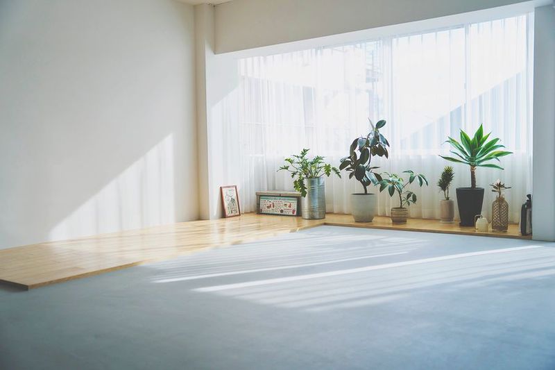 lauff SAGE - lauff SAGE