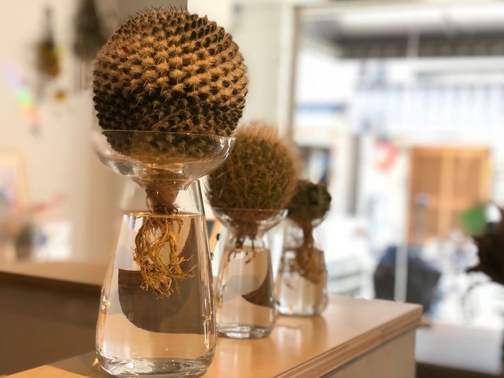 レンタルスペース - DELICAFE102