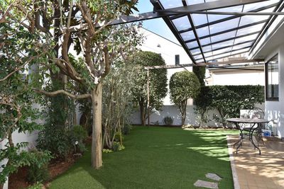 庭（人工芝） - スタジオピア 15B福町 撮影スタジオの室内の写真