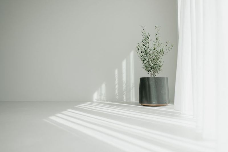 【人気の北堀江🌿】お洒落な空間で、撮影・ヨガ・ピラティスなど！ - Canelé カヌレ