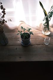 津田沼古民家 津田沼駅から徒歩10分の古民家スペースの室内の写真