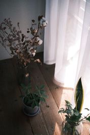 津田沼古民家 津田沼駅から徒歩10分の古民家スペースの室内の写真