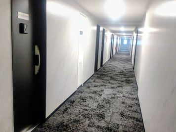 ホテルライクな館内 - レンタルスペース　ゆりねこルーム　赤坂 レンタルスペース【ゆりねこルーム 赤坂】の入口の写真