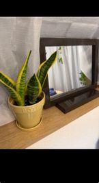 Runaの室内の写真