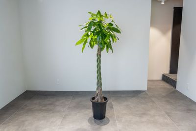 スタジオミライズの室内の写真