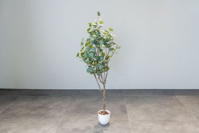 スタジオミライズの室内の写真