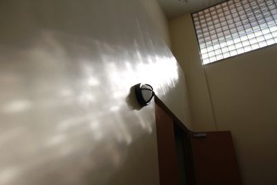差し込む自然光 - スタジオ・小劇場「シアターウィング」 四ッ谷のホール型イベントスペース・小劇場の室内の写真